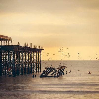 Reusable Grocery Bags